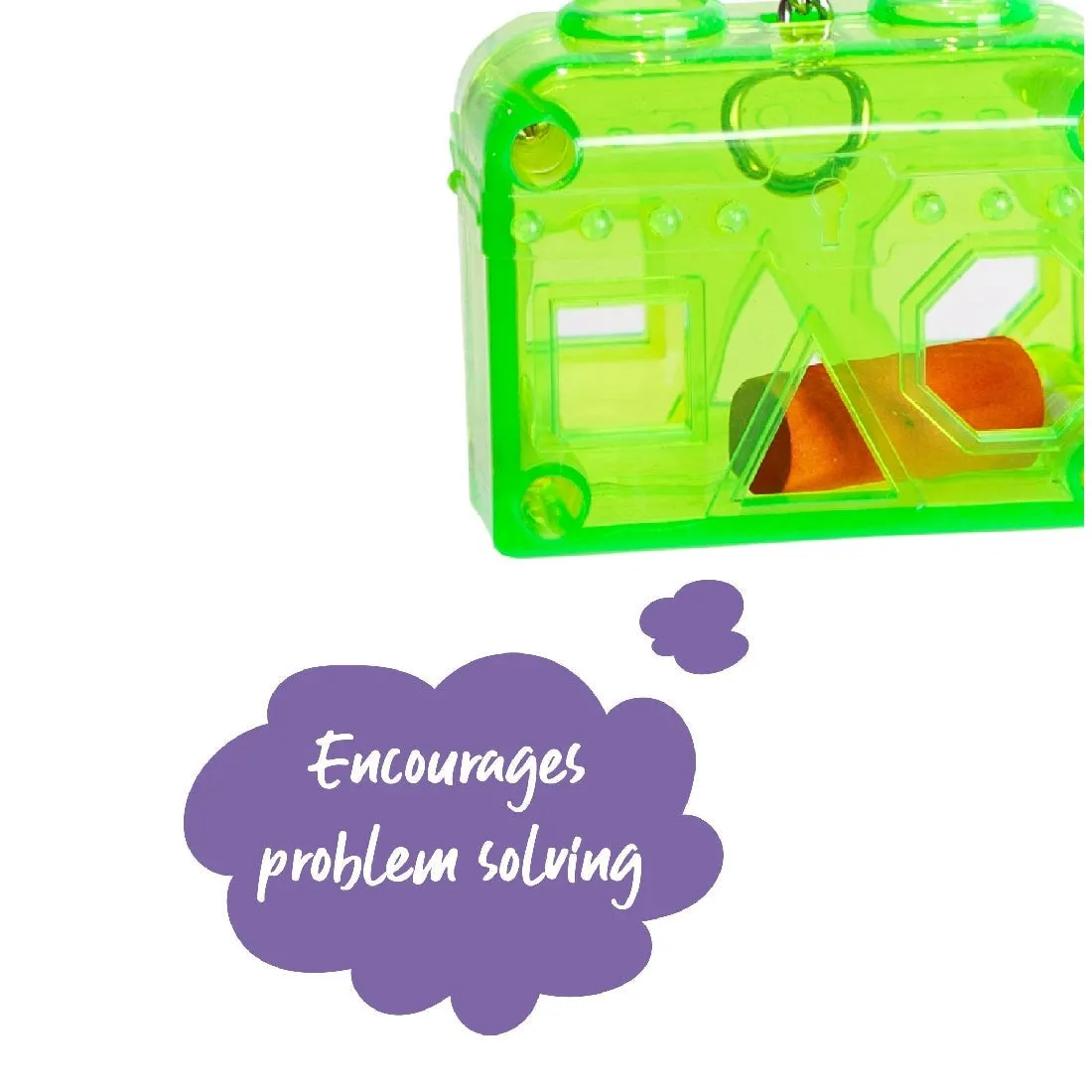 Acrylic Puzzle Box Bird Toy Kazoo