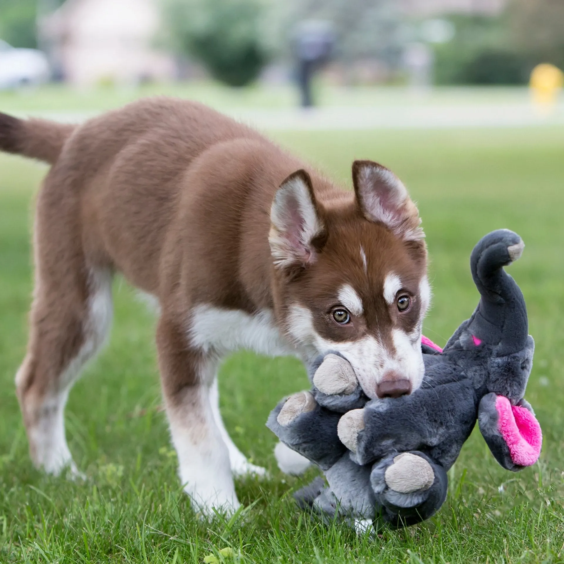 Fluff & Tuff Large and XL Plush Toys