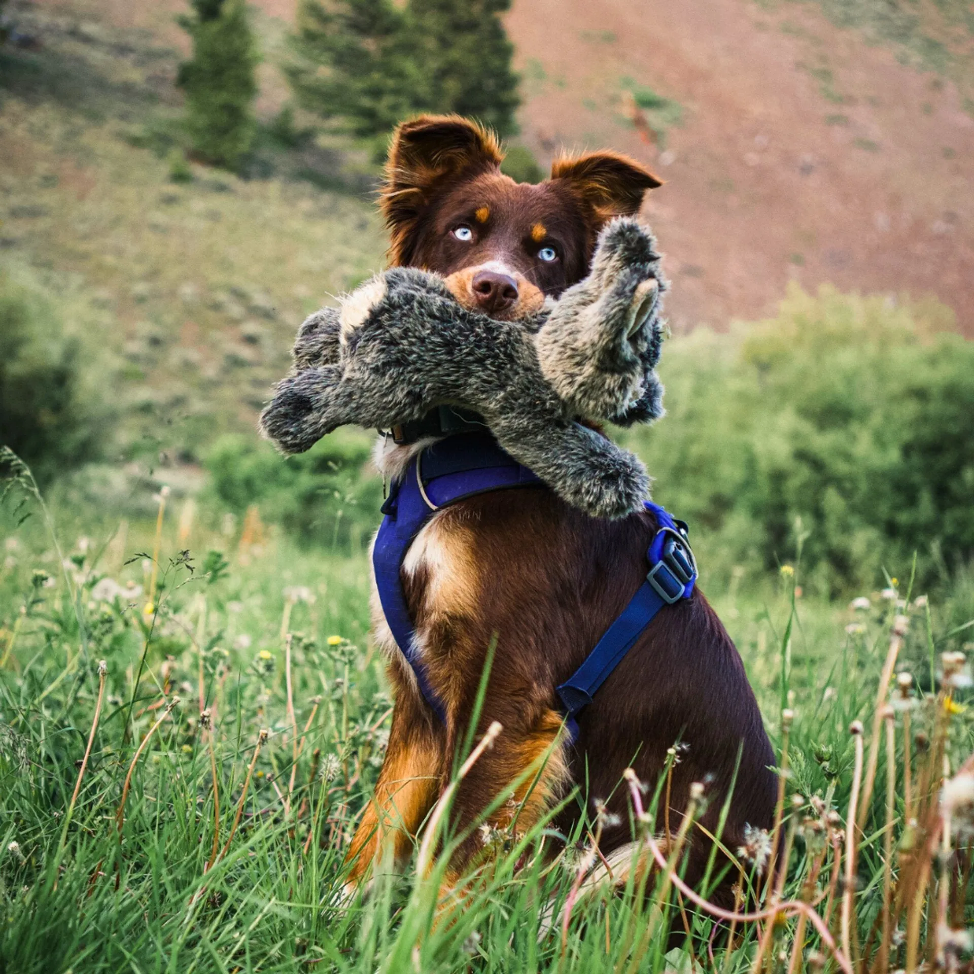 Fluff & Tuff Large and XL Plush Toys