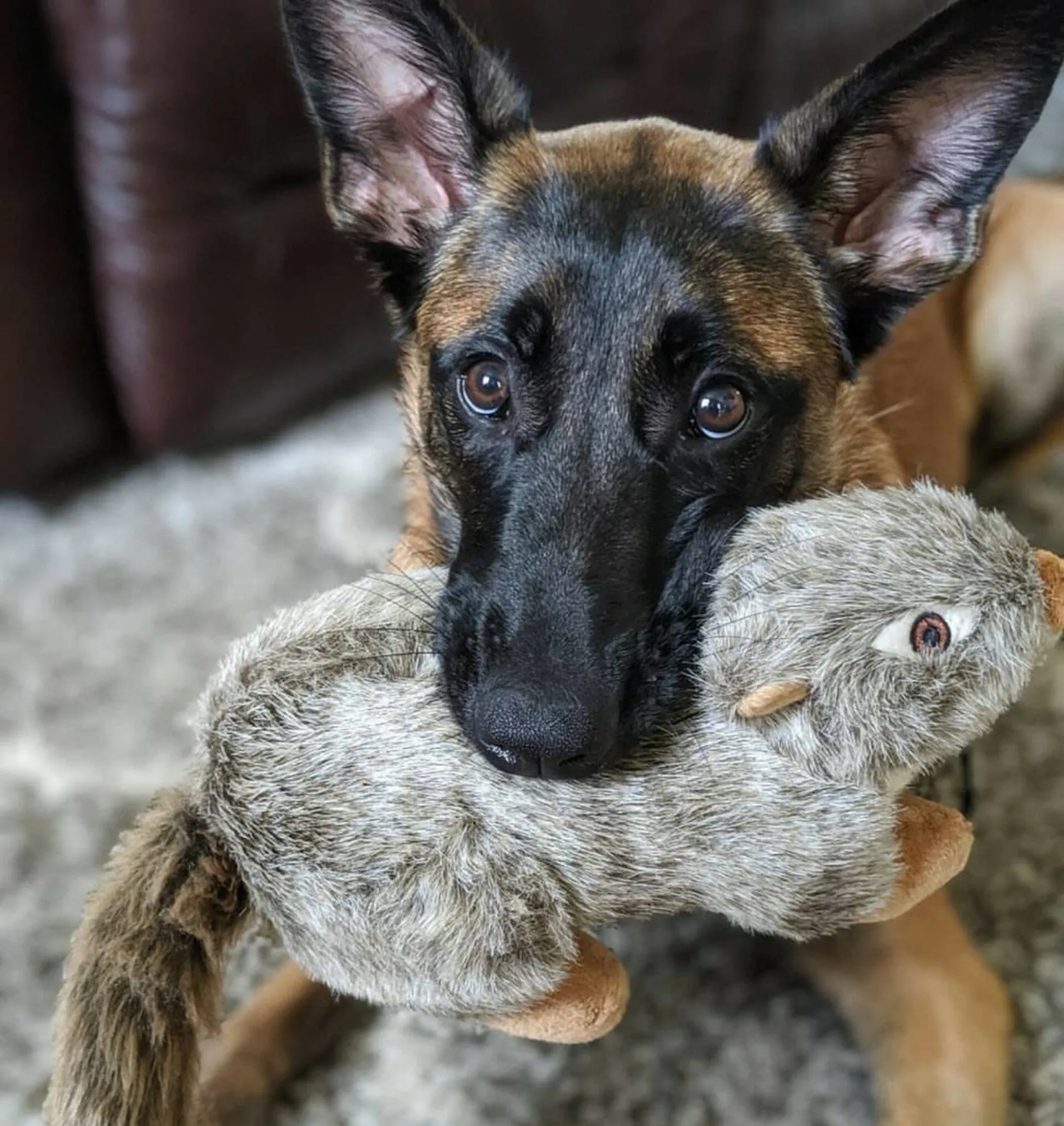 Fluff & Tuff Large and XL Plush Toys
