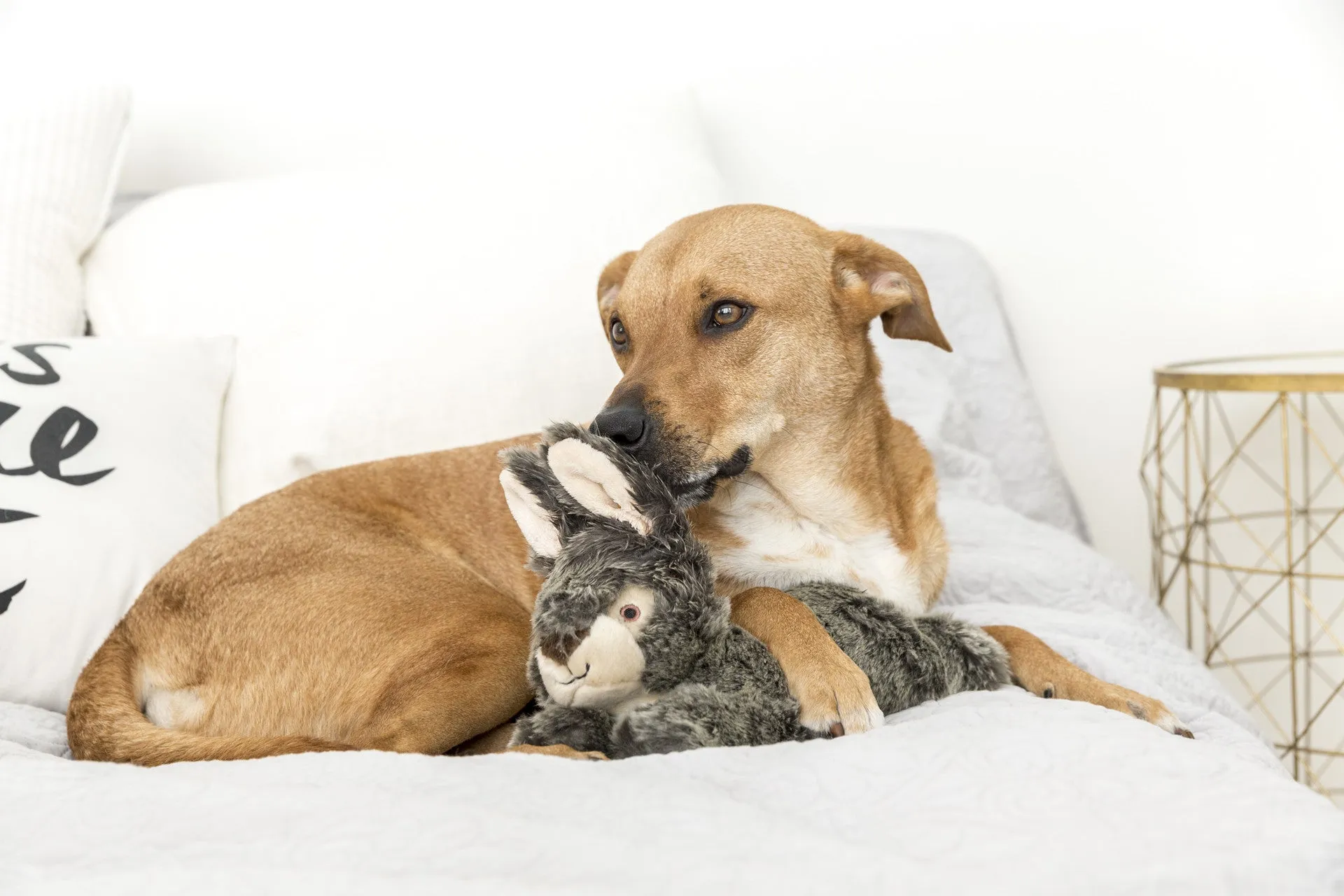 Fluff & Tuff Large and XL Plush Toys