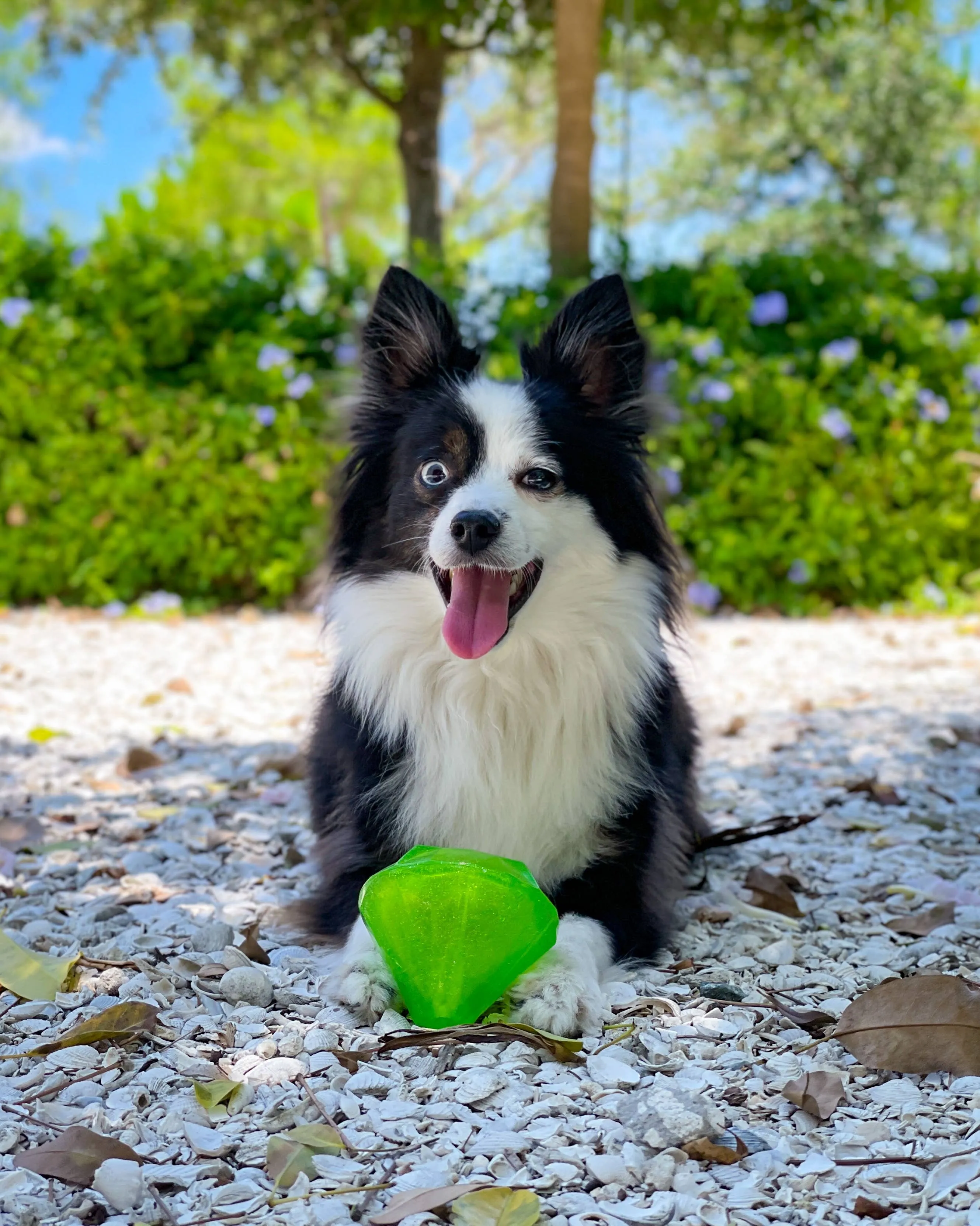 Spunky Pup - Squeaky Gems! - Diamond
