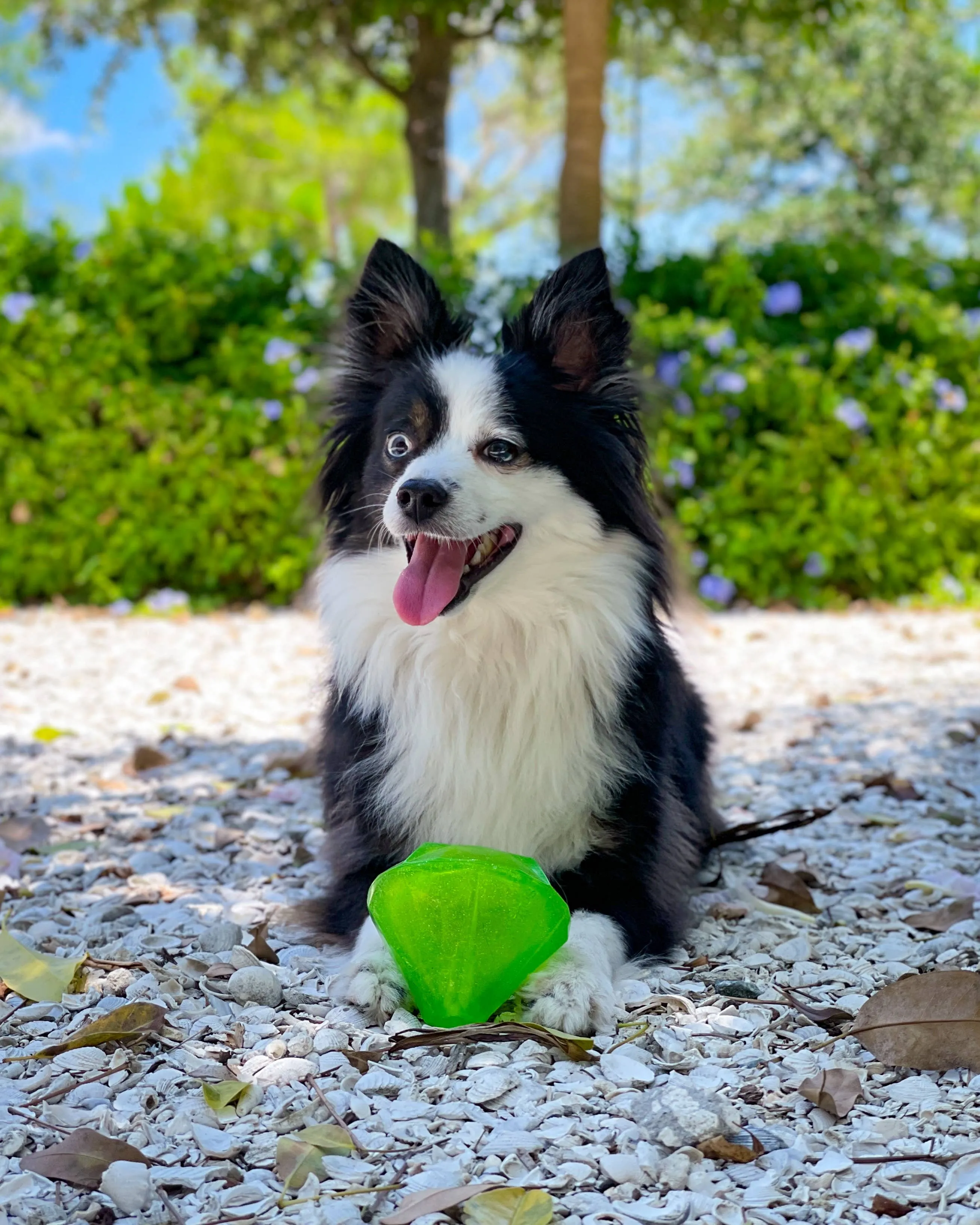 Spunky Pup - Squeaky Gems! - Diamond