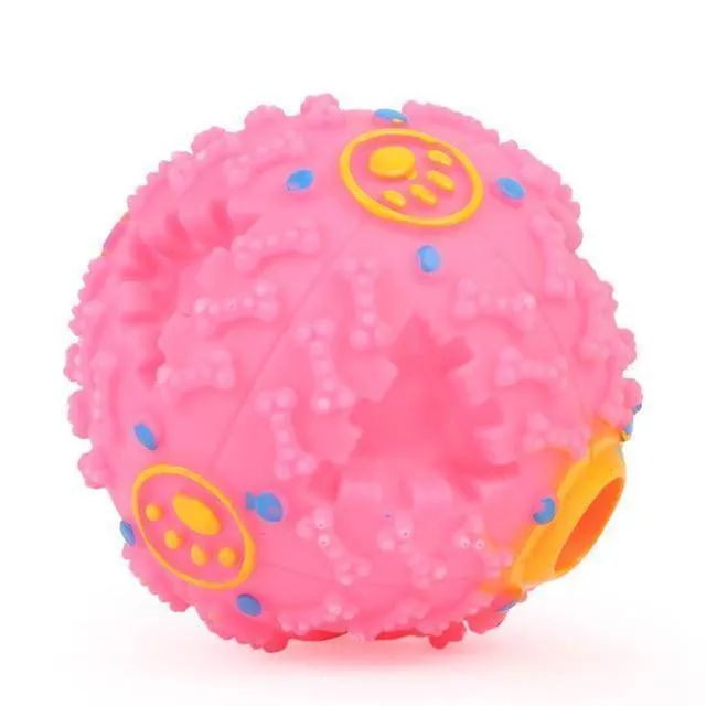 Squeaky Dog Ball
