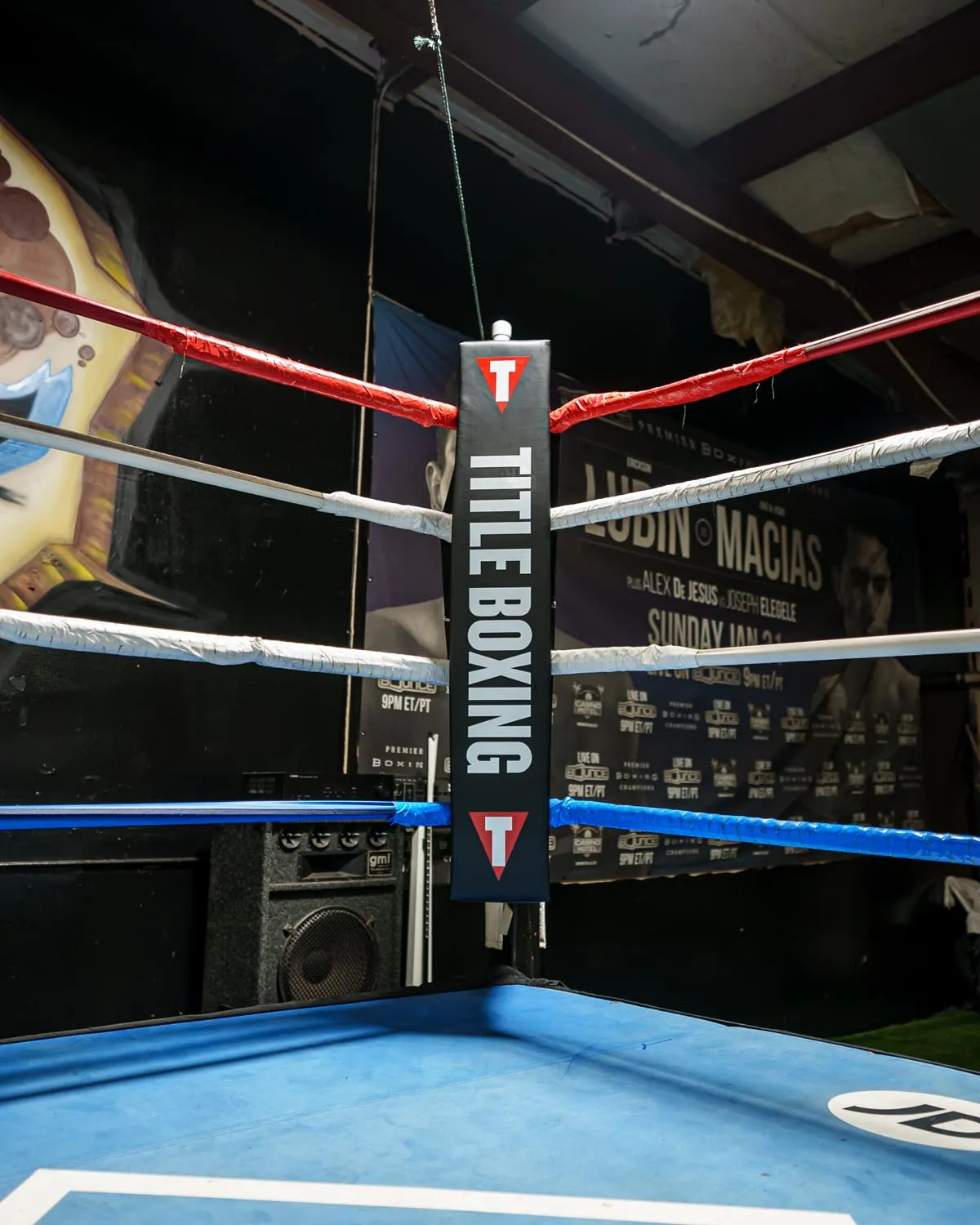 TITLE Boxing Pro Corner Cushions V3P – Set Of 4