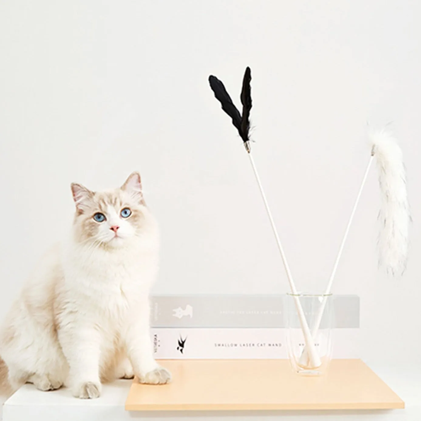 VETRESKA Teaser Wand With Laser Handle